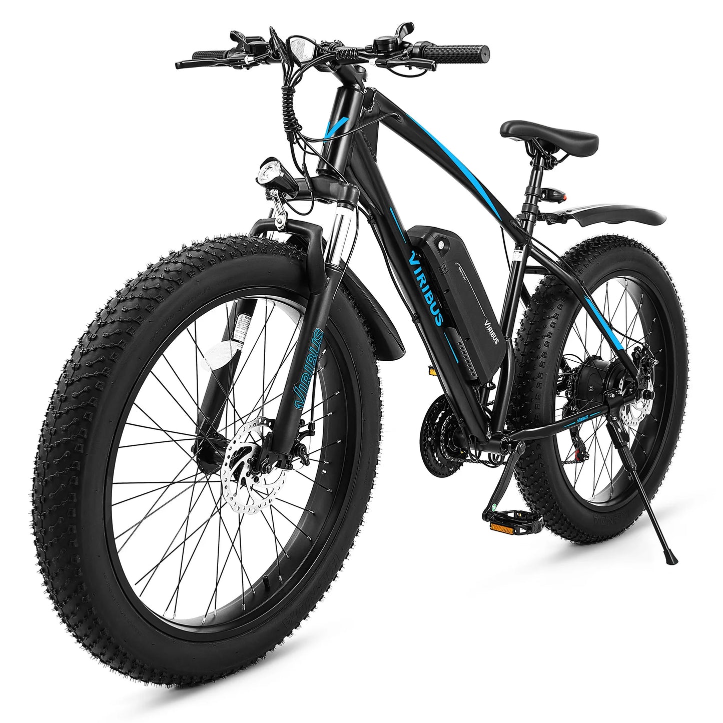 500W Fat Tire eBike