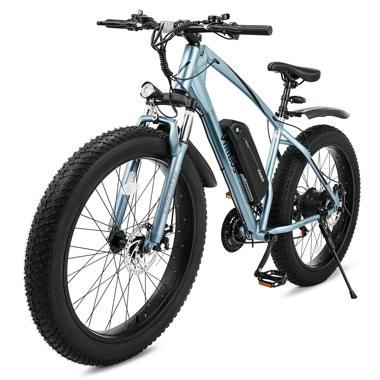 500W Fat Tire eBike