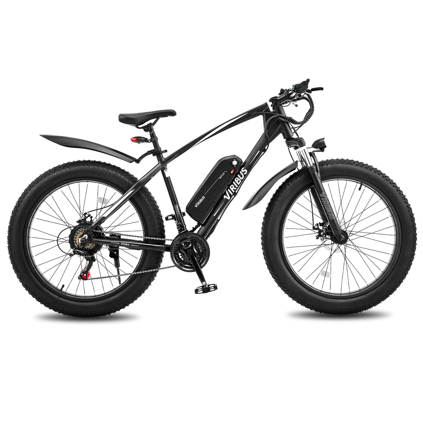 500W Fat Tire eBike