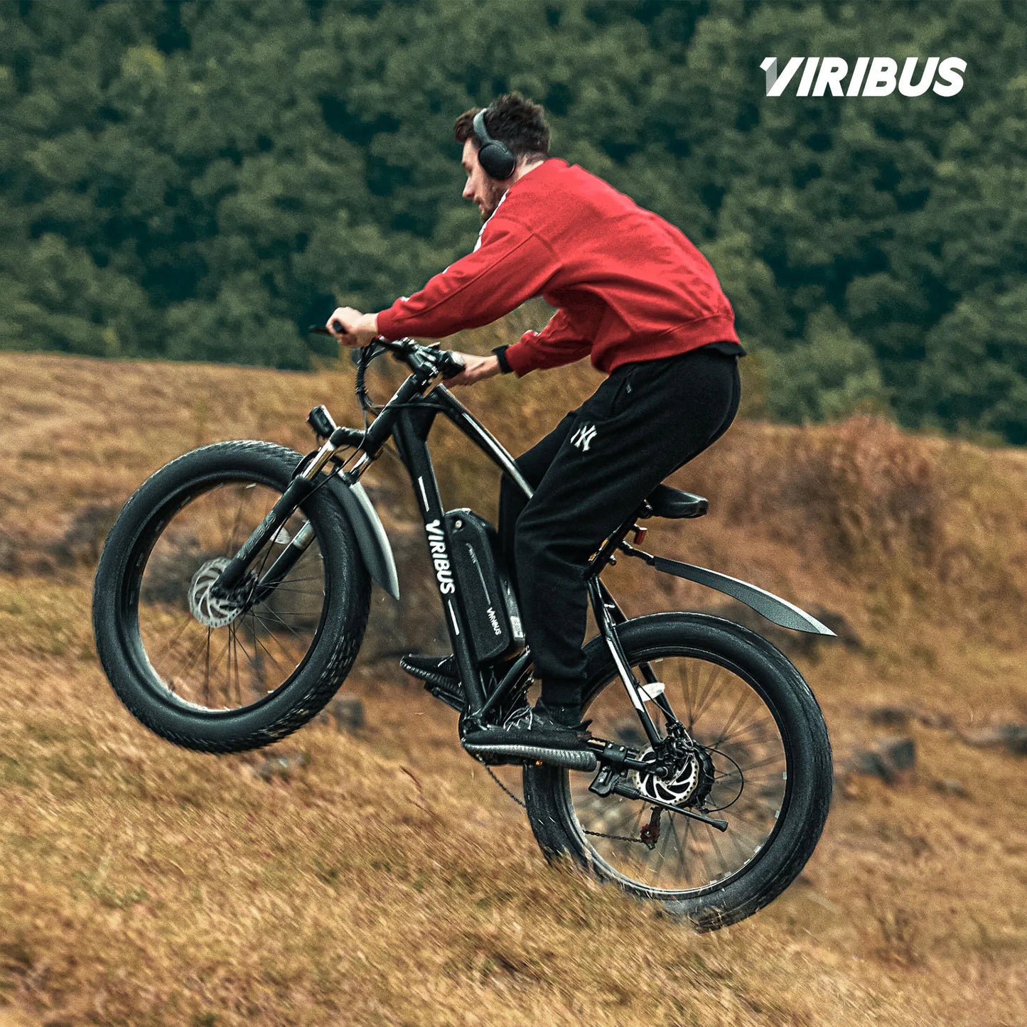 500W Fat Tire eBike