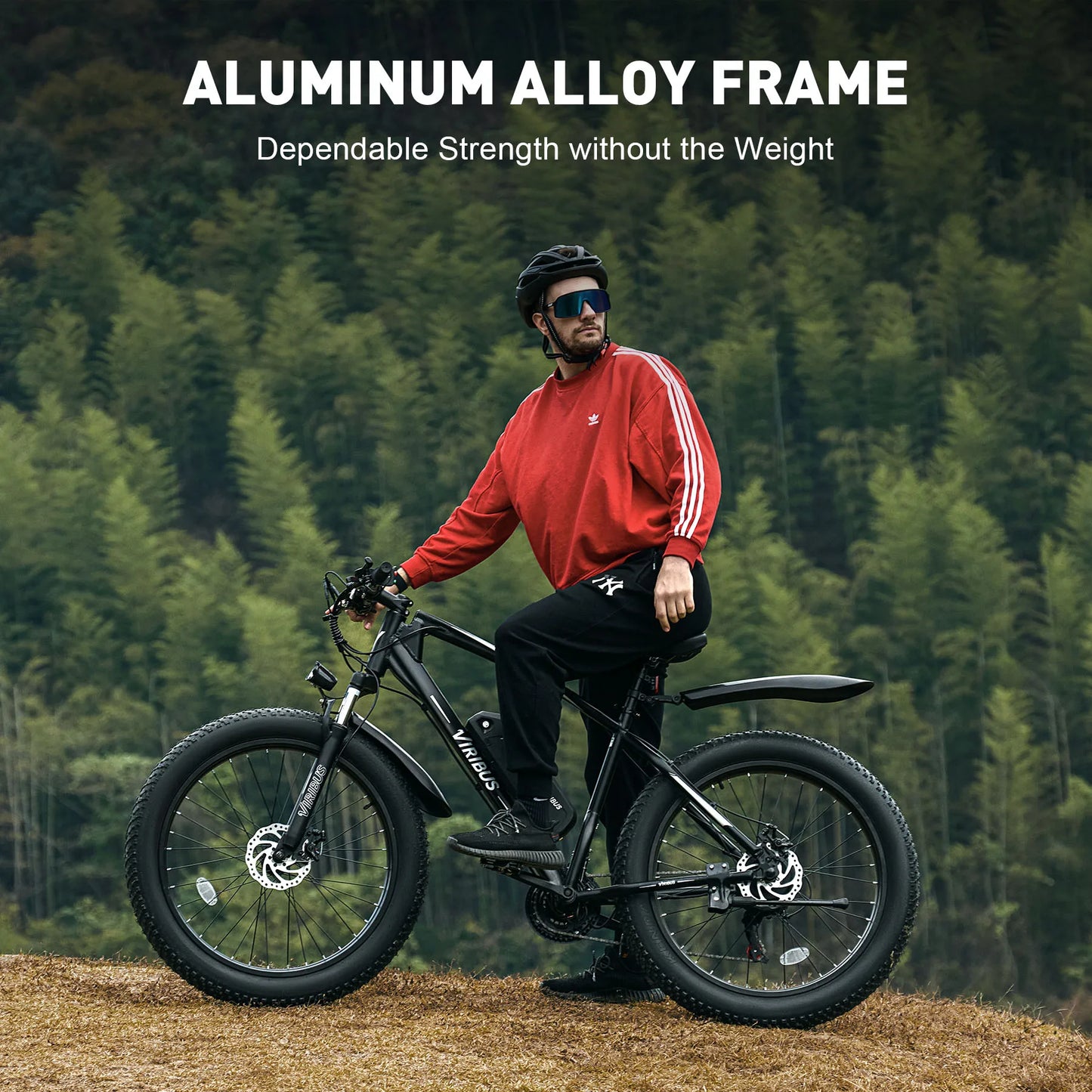 500W Fat Tire eBike