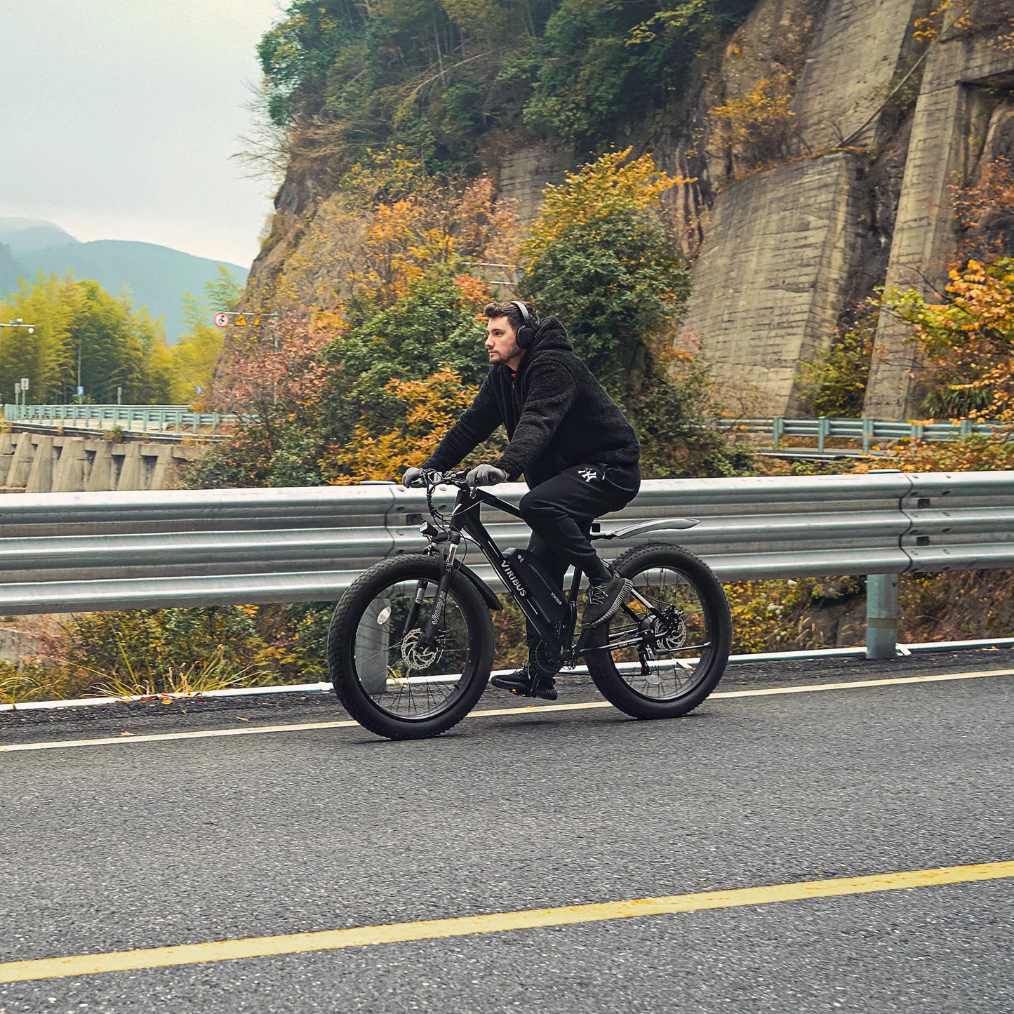500W Fat Tire eBike