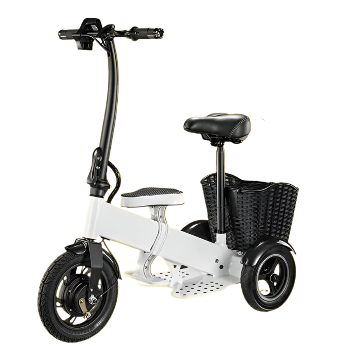 Professional Chauffeur Electric Bike