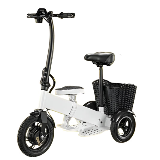 Professional Chauffeur Electric Bike