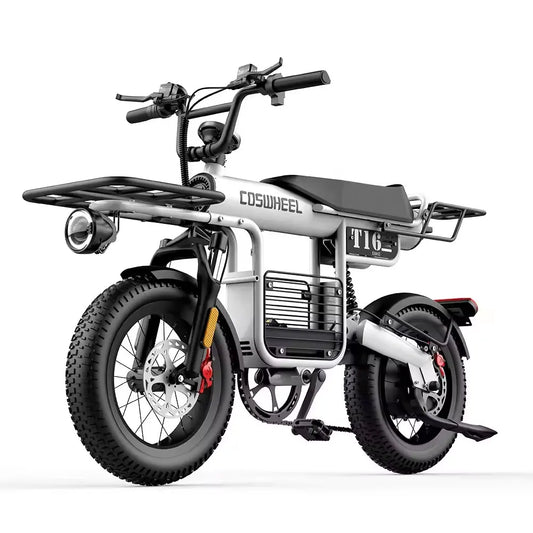 Coswheel Electric Bike