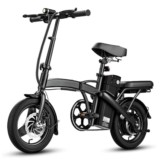 20mph Speed 36V Folding eBike