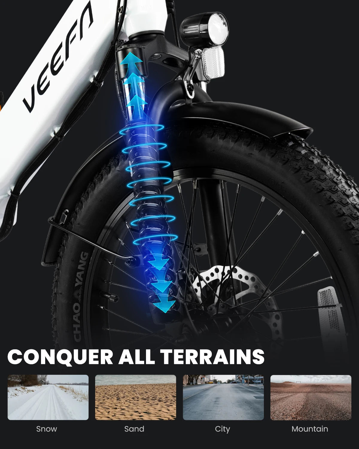 VEEFA F1 Electric Bike