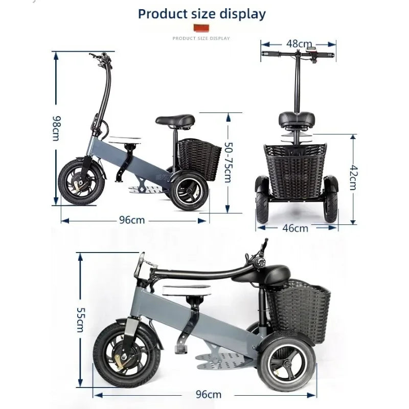 Professional Chauffeur Electric Bike