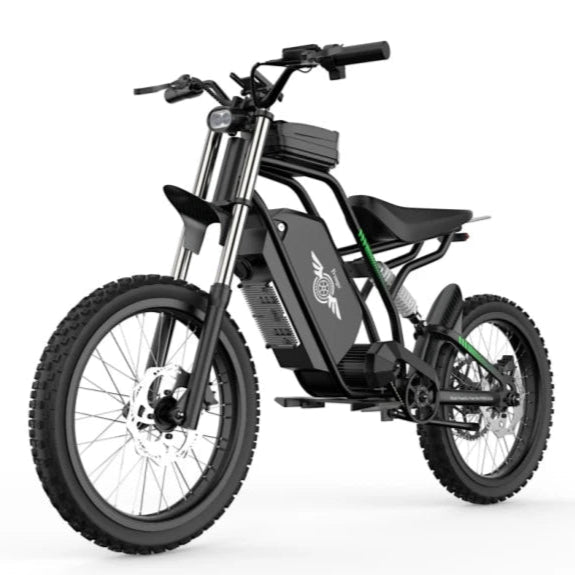 Freego 3000W Power Electric Dirt Bike