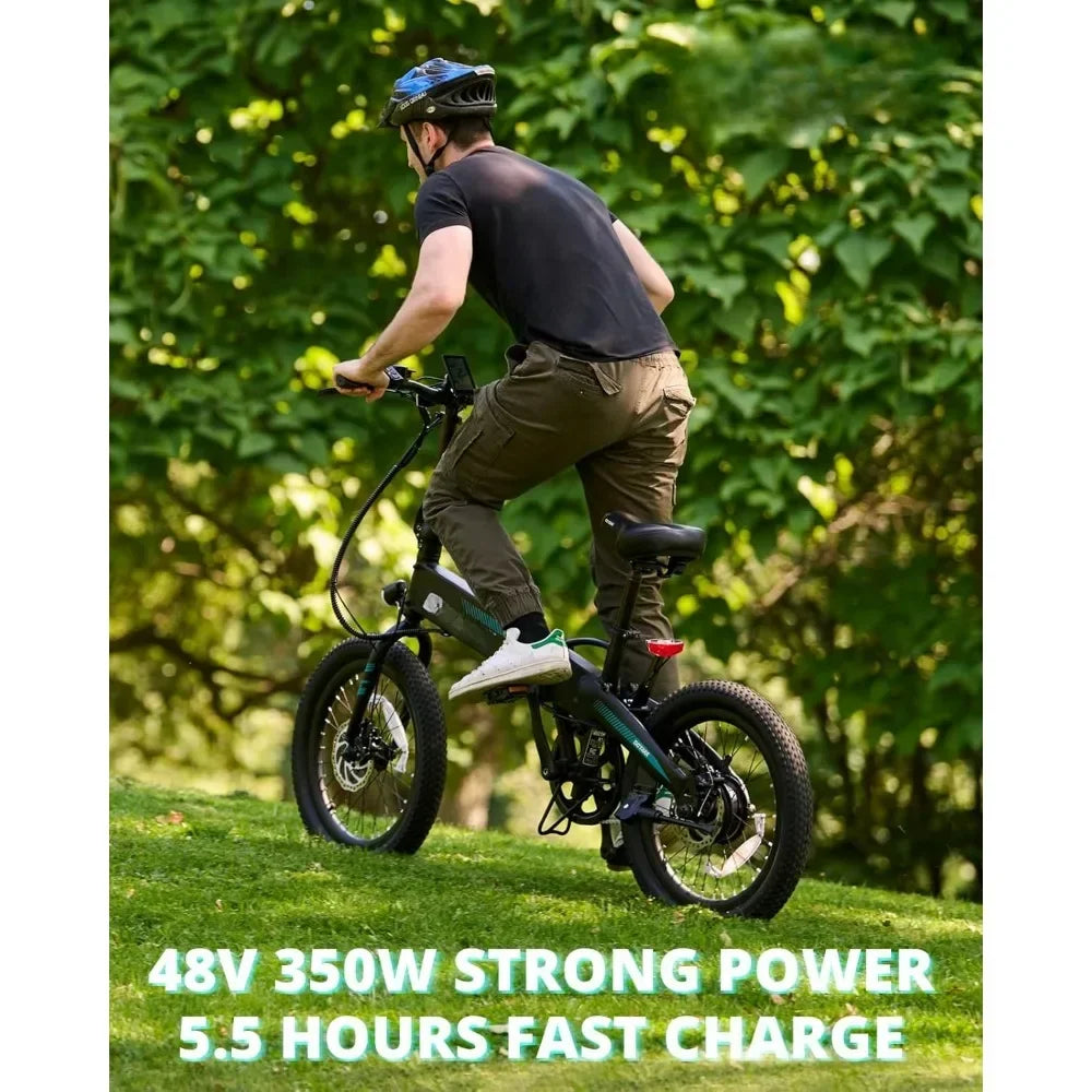 20Mph Power Folding Adult Electric Bike
