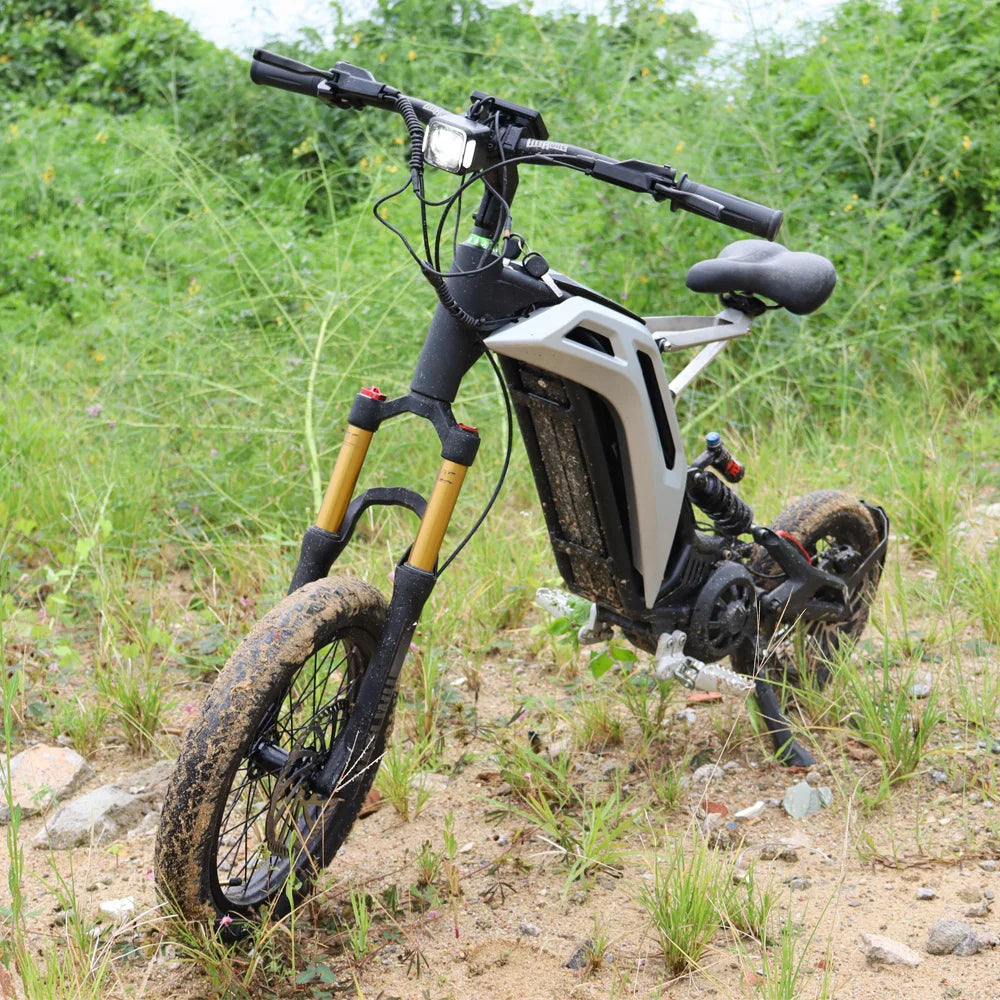 Titaone S Fat Off-road Tire Ebike