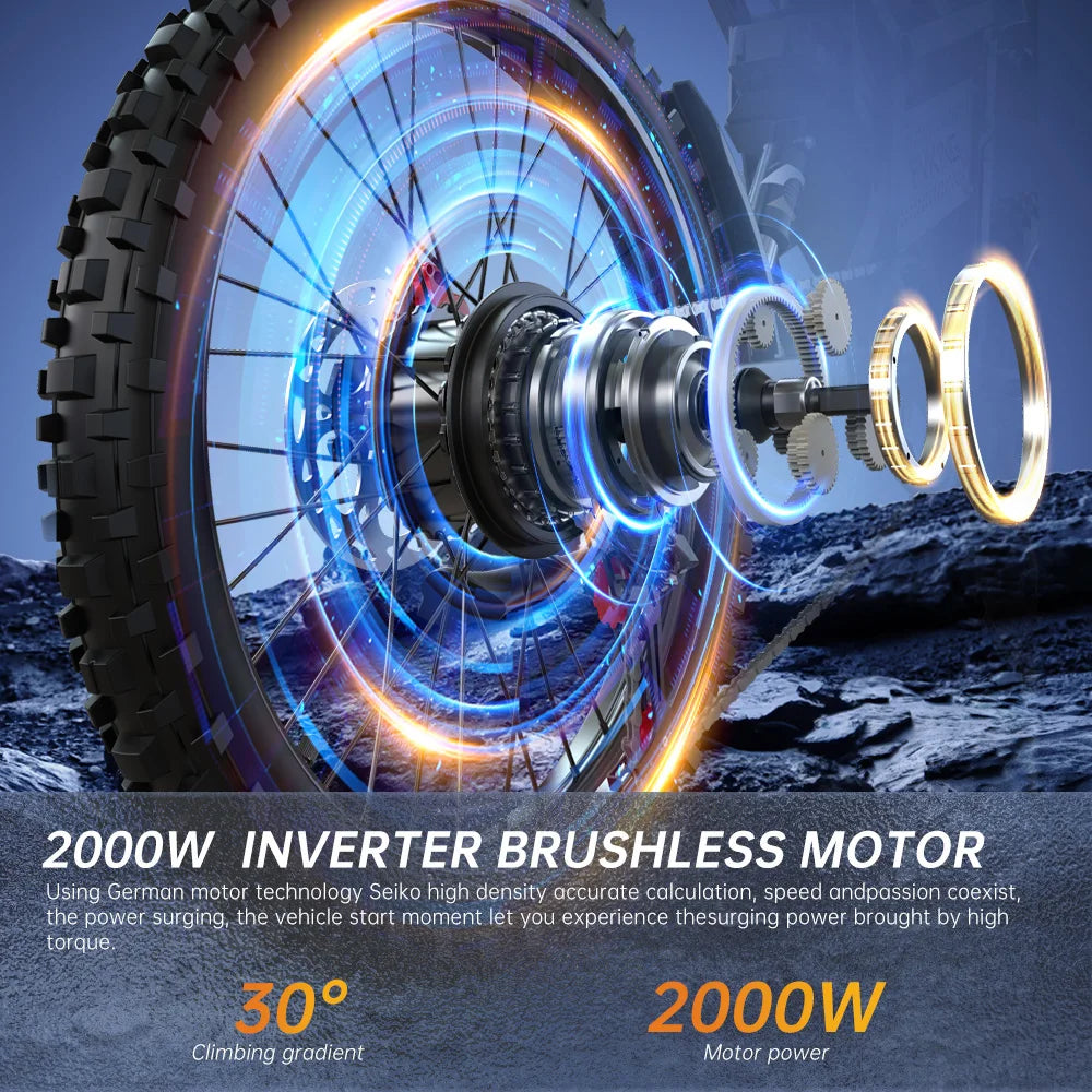 FVKING E6 Adult Electric Bike